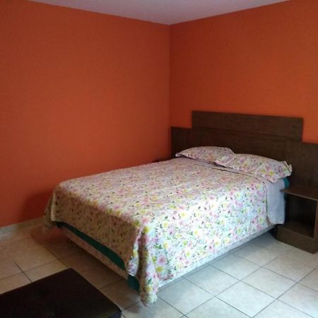 فندق Hostal Las Begonias أريكيبا المظهر الخارجي الصورة
